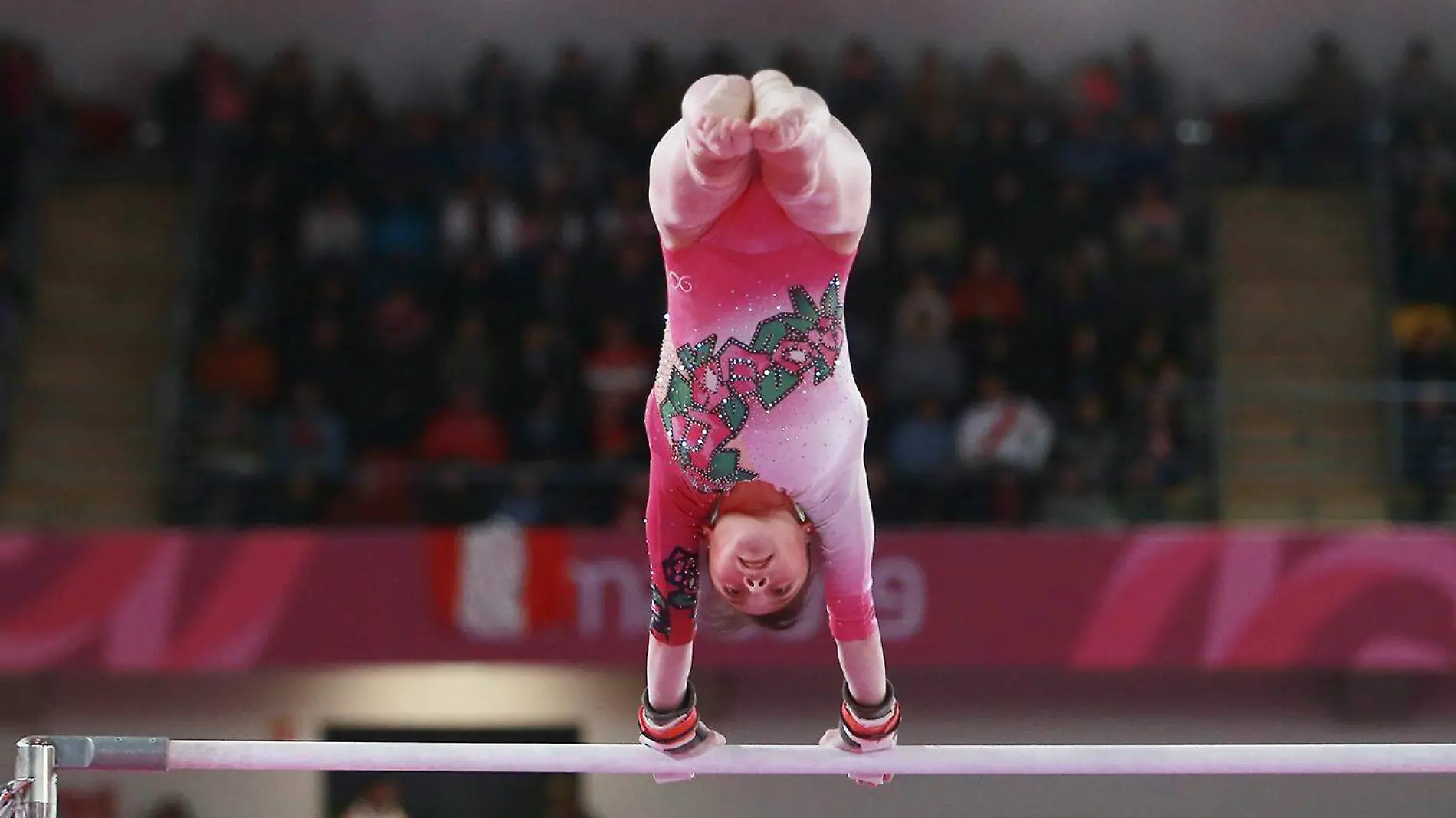 Panamericano de Gimnasia  (1)